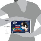 Felix Fantastic Hrană umedă pentru pisici, Selecție Rustică, cu vită, pui în aspic 4x85 g