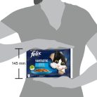 Felix Fantastic Hrană umedă pentru pisici, Selecție de pește, cu somon, pește cambulă în aspic 4x85 g