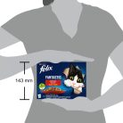 Felix Fantastic Hrană umedă pentru pisici, Selecție Rustică, cu vită, pui, iepure, miel în aspic 12x85 g