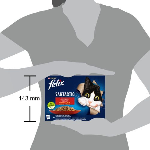 Felix Fantastic Hrană umedă pentru pisici, Selecție Rustică, cu vită, pui, iepure, miel în aspic 12x85 g