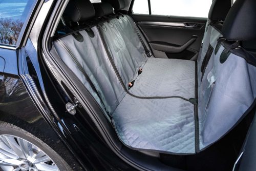 AniOne Husă auto de protecție