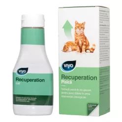 Viyo Recuperation pentru pisici 1 fl.