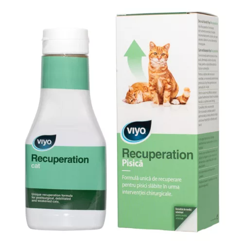 Viyo Recuperation pentru pisici 1 fl.