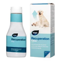 Viyo Recuperation pentru câini 1 fl.