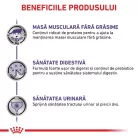 Royal Canin Veterinary Neutered Maintenance Hrană umedă pentru pisici sterilizate 85 g