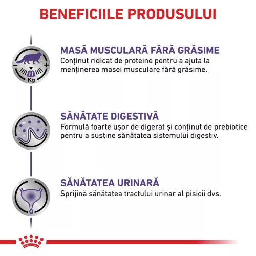 Royal Canin Veterinary Neutered Maintenance Hrană umedă pentru pisici sterilizate 85 g