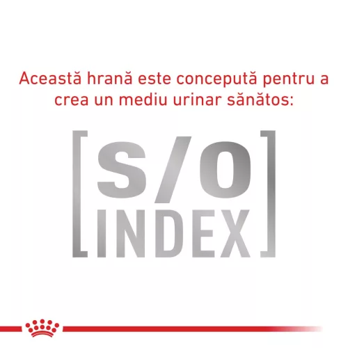 Royal Canin Veterinary Neutered Maintenance Hrană umedă pentru pisici sterilizate 85 g