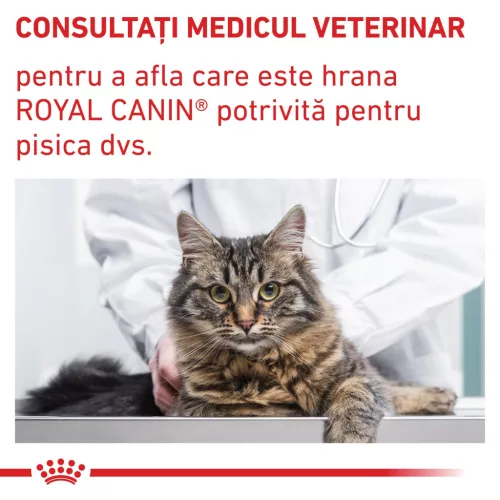 Royal Canin Veterinary Neutered Maintenance Hrană umedă pentru pisici sterilizate 85 g
