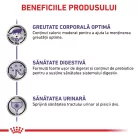 Royal Canin Veterinary Neutered Weight Balance Hrană umedă pentru pisici sterilizate 85 g