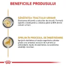 Royal Canin Veterinary Urinary S/O Ageing 7+ Hrană umedă pentru câini adulţi 85 g