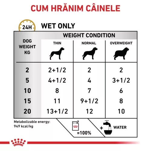 Royal Canin Veterinary Urinary S/O Ageing 7+ Hrană umedă pentru câini adulţi 85 g