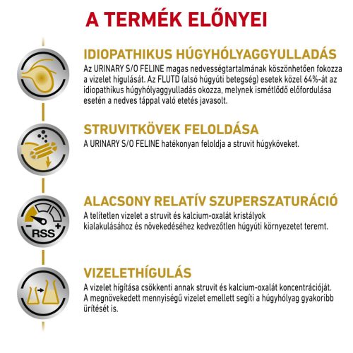 Royal Canin Veterinary Hrană umedă pentru pisici, susținerea tractului urinar 12x85 g