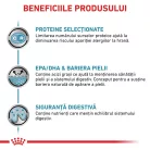 Royal Canin Veterinary Sensitivity Control Hrană umedă pentru pisici adulte cu pui 85 g