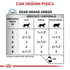 Royal Canin Veterinary Sensitivity Control Hrană umedă pentru pisici adulte cu pui 85 g