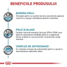 Royal Canin Veterinary Skin & Coat Hrană umedă pentru pisici adulte 85 g