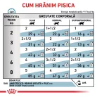 Royal Canin Veterinary Skin & Coat Hrană umedă pentru pisici adulte 85 g