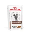 Royal Canin Veterinary Gastrointestinal Hrană umedă pentru pisici adulte 85 g