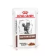 Royal Canin Veterinary Gastrointestinal Hrană umedă pentru pisici adulte 85 g