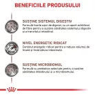 Royal Canin Veterinary Gastrointestinal Hrană umedă pentru pisici adulte 85 g