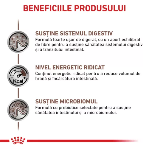 Royal Canin Veterinary Gastrointestinal Hrană umedă pentru pisici adulte 85 g