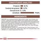 Royal Canin Veterinary Gastrointestinal Hrană umedă pentru pisici adulte 85 g