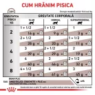 Royal Canin Veterinary Gastrointestinal Hrană umedă pentru pisici adulte 85 g