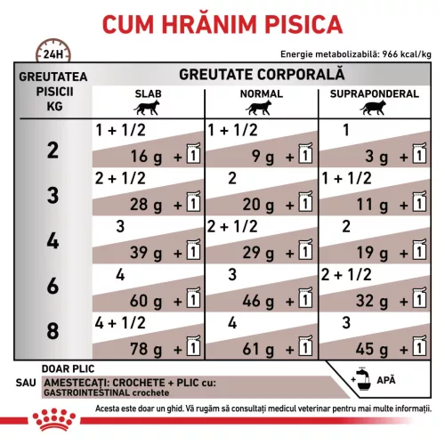 Royal Canin Veterinary Gastrointestinal Hrană umedă pentru pisici adulte 85 g