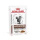 Royal Canin Veterinary Gastrointestinal Moderate Calorie Hrană umedă pentru pisici adulte 85 g