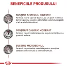 Royal Canin Veterinary Gastrointestinal Moderate Calorie Hrană umedă pentru pisici adulte 85 g
