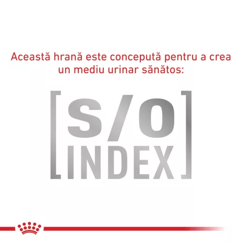 Royal Canin Veterinary Gastrointestinal Moderate Calorie Hrană umedă pentru pisici adulte 85 g