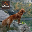 Dogs Creek Explorer Lesă pentru câini 5 m portocaliu