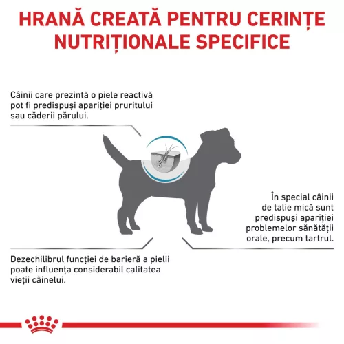 Royal Canin Veterinary Skin Care Hrană uscată pentru câini adulţi de talie mică 4 kg