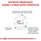 Royal Canin Veterinary Skin Care Hrană uscată pentru câini adulţi de talie mică 4 kg