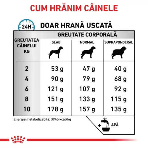 Royal Canin Veterinary Skin Care Hrană uscată pentru câini adulţi de talie mică 4 kg