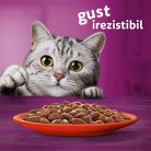 Whiskas hrană umedă pentru pisici adulte, selecții clasice în sos de carne 12 x 85 g