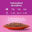 Whiskas hrană umedă pentru pisici adulte, selecții clasice în sos de carne 12 x 85 g