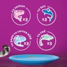 Whiskas hrană umedă pentru pisici adulte, selecții de pește în aspic 12 x 85 g