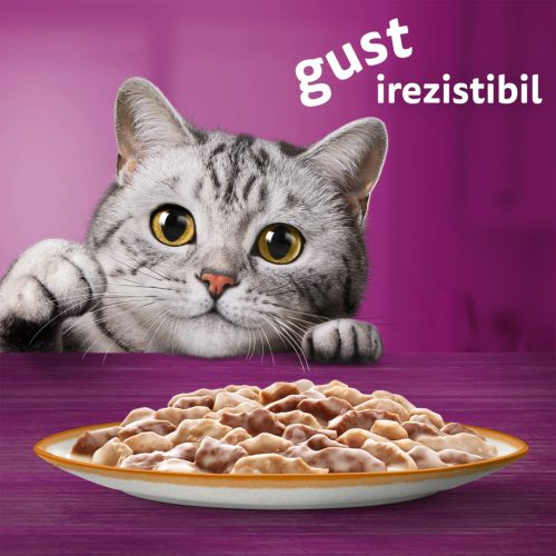 Whiskas Tasty Mix hrană umedă pentru pisici adulte, cu miel și curcan în sos 85 g