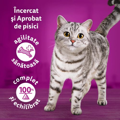 Whiskas Tasty Mix hrană umedă pentru pisici adulte, cu miel și curcan în sos 85 g