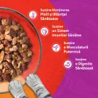 Whiskas Duo Hrană umedă pentru pisici adulte cu vită și pasăre în aspic 85 g