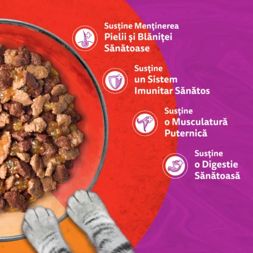 Whiskas Duo Hrană umedă pentru pisici adulte cu vită și pasăre în aspic 85 g