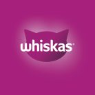 Whiskas hrană umedă pentru pisici adulte cu carne de pasăre în aspic 80 x 85 g