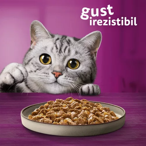Whiskas Pure Delight hrană umedă pentru pisici adulte cu carne de pasăre în aspic 12 x 85 g