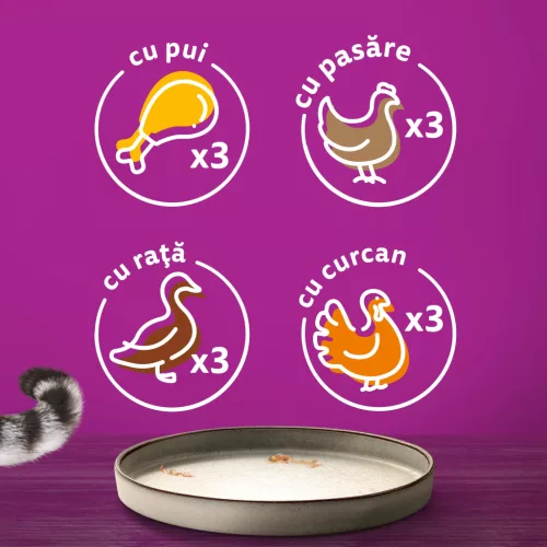 Whiskas Pure Delight hrană umedă pentru pisici adulte cu carne de pasăre în aspic 12 x 85 g