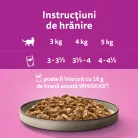Whiskas Pure Delight hrană umedă pentru pisici adulte cu carne de pasăre în aspic 12 x 85 g