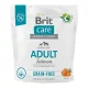 Brit Care Hrană pentru câini adulţi de talie mică şi medie cu somon şi cartofi 1 kg