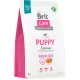 Brit Care Grain-Free Hrană uscată pentru câini, cu somon și cartofi 3 kg