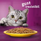 Whiskas hrană umedă pentru pisici adulte cu carne de pasăre în sos 12 x 85 g