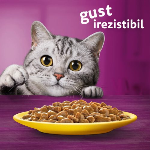 Whiskas hrană umedă pentru pisici adulte cu carne de pasăre în sos 12 x 85 g