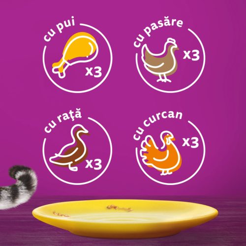 Whiskas hrană umedă pentru pisici adulte cu carne de pasăre în sos 12 x 85 g